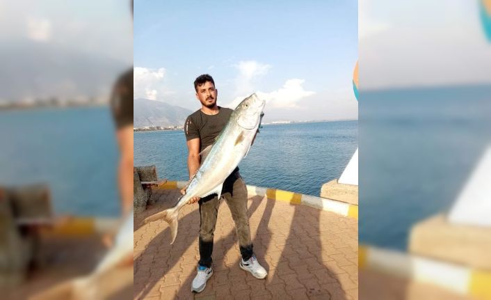 Kıyıdan 17 kiloluk kuzu balığı avladı