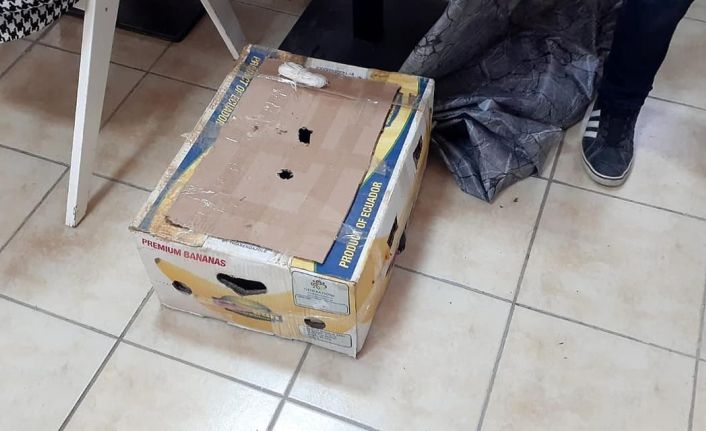 Konya’da canlı mühre ile yasak avlanmaya 28 bin 500 lira ceza