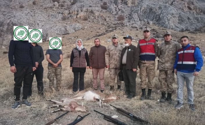 Koruma altındaki yaban keçilerini avlayan 4 kişiye 127 bin 526 lira ceza
