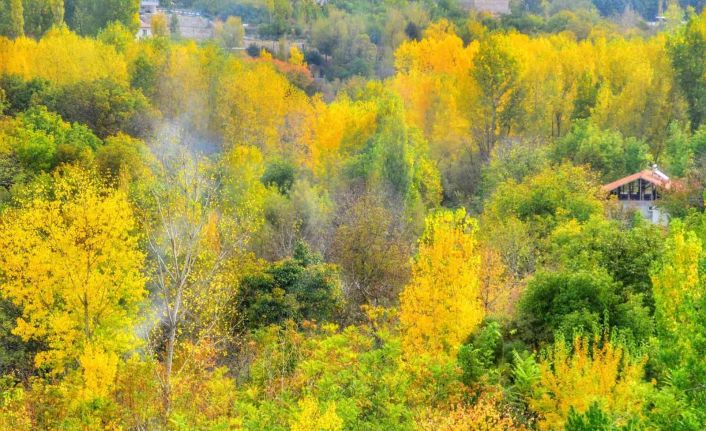 Malatya’da sonbahar ayrı güzel