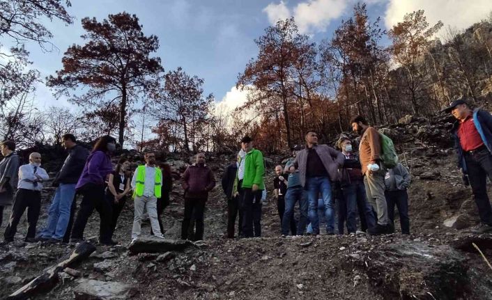 Marmaris’teki çalıştayın katılımcıları yanan sahayı inceledi