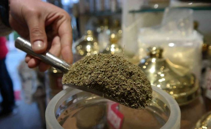 Mercanköşk’e ilgi her geçen gün artıyor