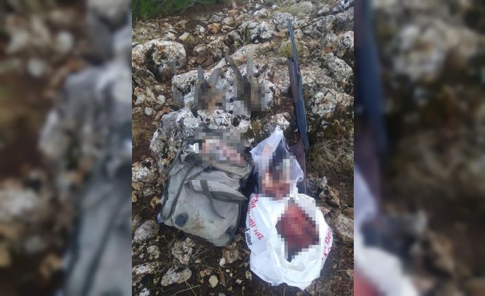 Mersin’de yaban keçisi avlayan kaçak avcıya 122 bin 224 lira ceza