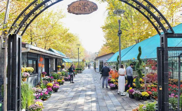 Meyve ağacı dikim mevsimi başladı: Anfa bitki evi meyve ağacı çeşitliliğiyle Başkentlileri bekliyor