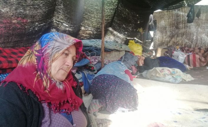 Müslüme’nin anneannesi konuştu: "Çocuğumun oraya kadar yürümesine umudum yok"