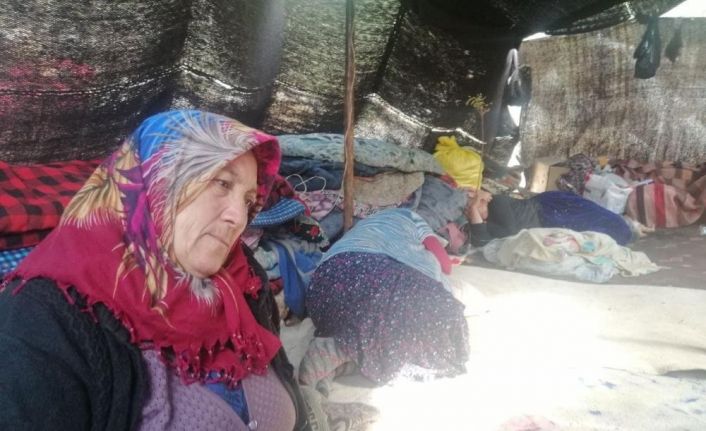 Müslüme’nin dedesi ve anneannesi serbest bırakıldı, 6 kişinin sorgusu sürüyor
