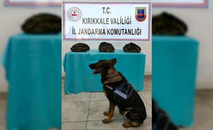 Narkotik köpeği ’Tepe’ ile otobüste arama yapan jandarma, ’kubar esrar’ buldu