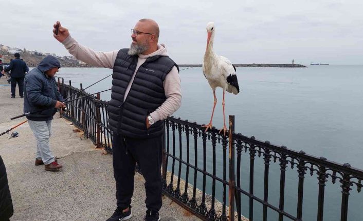 O leylek meşhur oldu, gören cep telefonuna sarılıyor