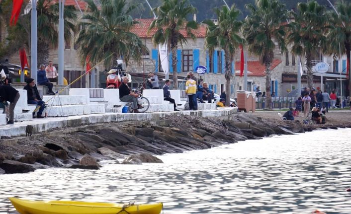 Olta balıkçıları Foça’yı mesken tuttu