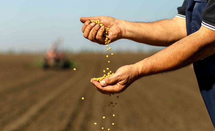 Organik sektöründen “Okullarda organik dersi konulsun” çağrısı
