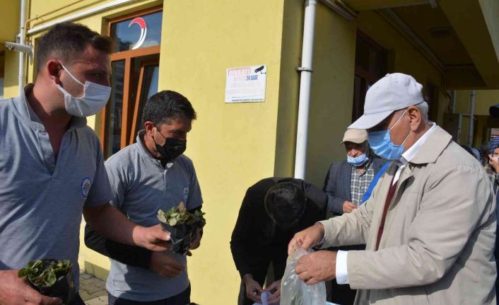 Osmanlı Çileği fideleri halkla buluştu