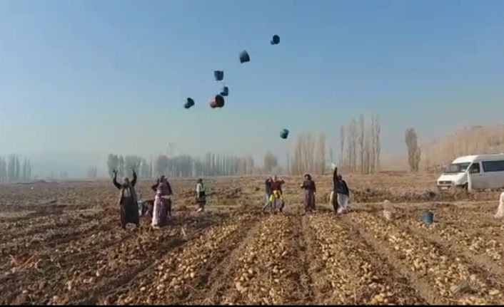 (ÖZEL) Tarım işçileri havaya kova atıp doyasıya eğlenerek sezonu bitirdi