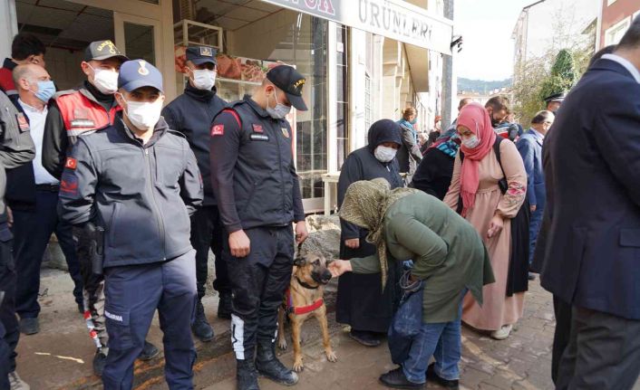 Selde köpeği Rüzgar’ı kaybeden kadın, jandarma köpeğini görünce gözyaşlarını tutamadı