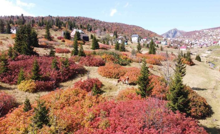 Sis Dağı’ndan sonbahar manzaraları