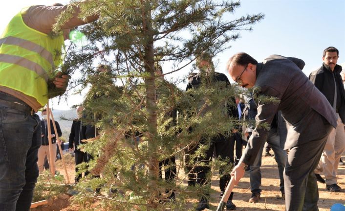 ’Söğüt Ertuğrul Gazi’ ve ’Domaniç Hayme Ana’ adı verilen fidanlar toprakla buluştu