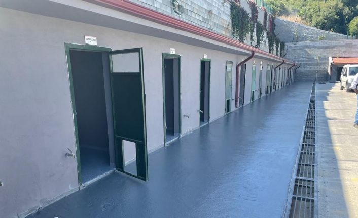 Sokak Hayvanları Tedavi ve Rehabilitasyon Merkezinde bakım ve yenileme çalışmaları