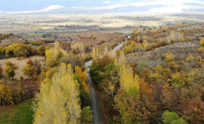 Sonbahardan kışa geçişte renk cümbüşü oluşturan ağaçlar farklı güzelliğe büründü