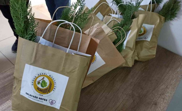 Tapu işlemi yapana fidan hediye