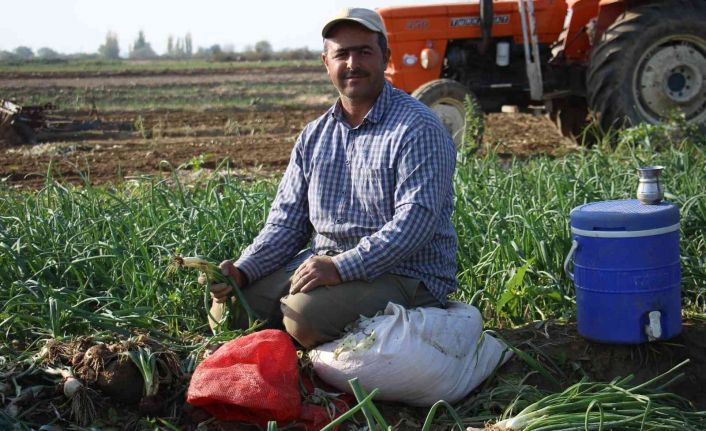 Taze soğan, üreticisini memnun etmiyor