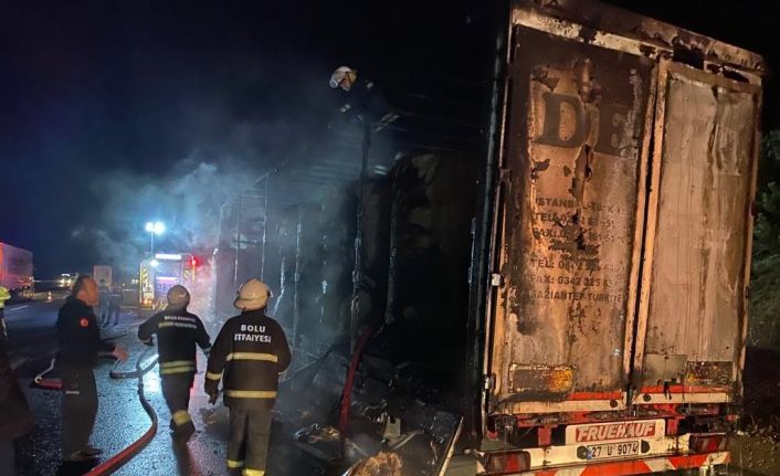 TEM’de kağıt yüklü tır alev alev yandı