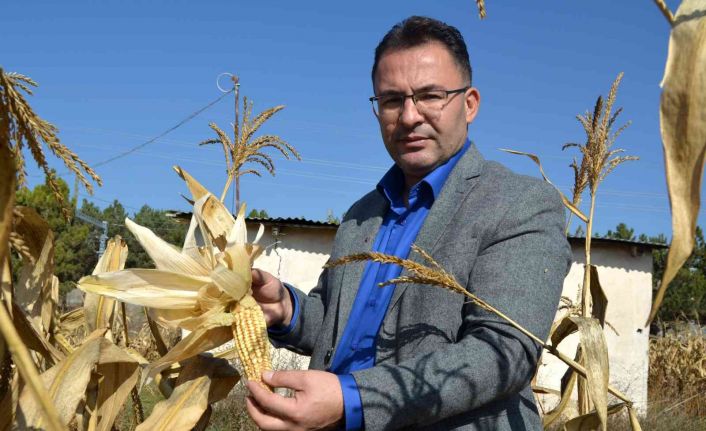 Tohumda dışa bağımlılıktan kurtuluyoruz, Türk bilim adamları geliştirdi