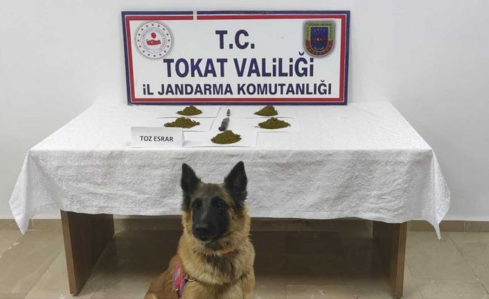 Tokat’ta tarihi eser, sahte içki ve uyuşturucu operasyonu: 21 gözaltı