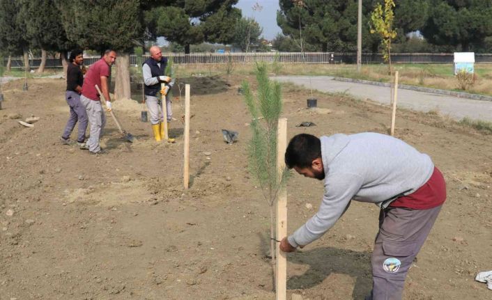 Turgutlu’da fidanlar toprakla buluşuyor