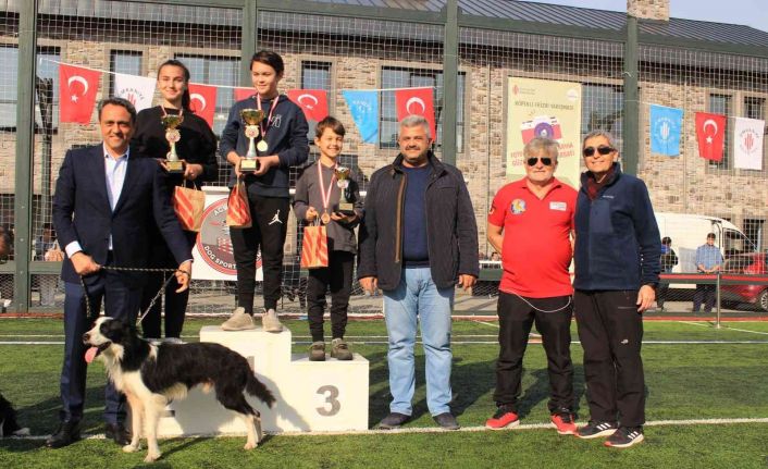 Ümraniye’de düzenlenen “Köpekli Frizbi Yarışması” renkli görüntülere sahne oldu