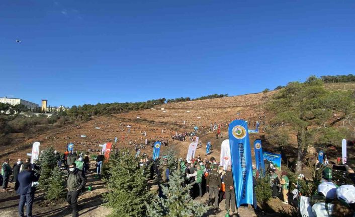 Vali Ali Yerlikaya: “El birliğiyle 8 bin 900 fidanı toprakla buluşturacağız”