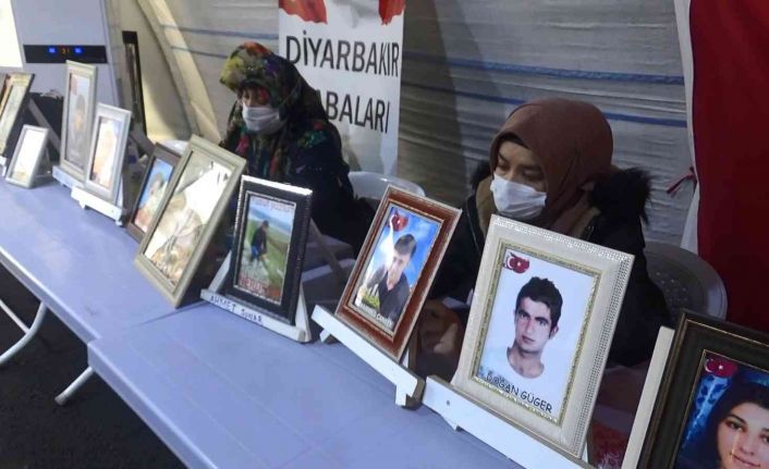 Yüzde 70 engelli raporuna rağmen dağa kaçırılan kardeşi için nöbet tutuyor