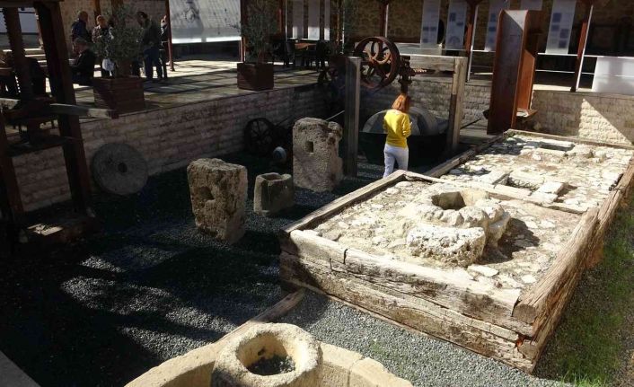 Zeytin ve Zeytinyağı Müzesi’ne ziyaretçi akını