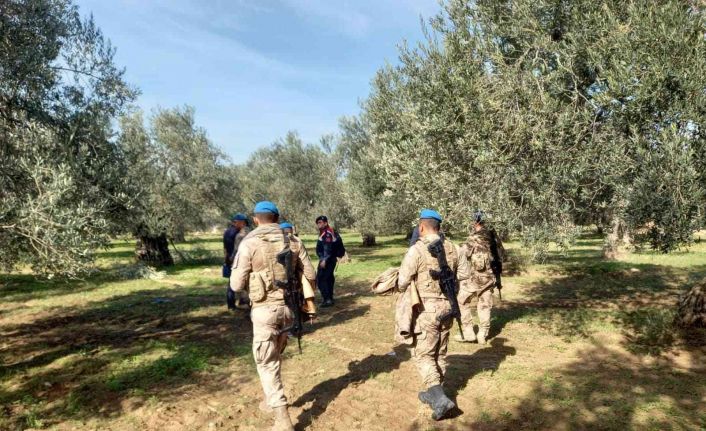 Zeytinliklere komando koruması