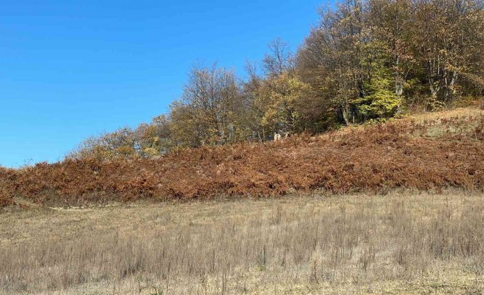 Zonguldak’taki vahşi cinayette yaşlı adamdan geriye montuyla çizmeleri kaldı