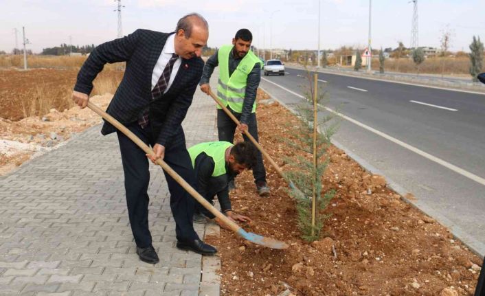 Akçakale’de yeşil atağı sürüyor
