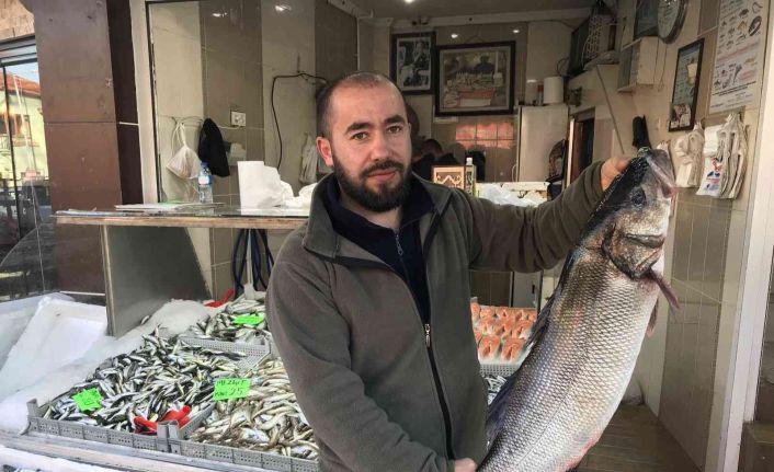 Akçakoca’da 7 kilo levrek avlandı