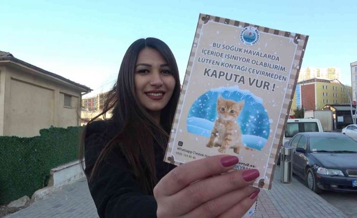 Araçların motor bölümüne giren kedilere dikkat: ’Kontağı çevirmeden kaputa vurun’