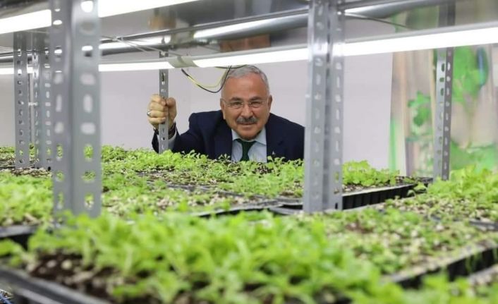 Ata tohumları Ordu’da hayat buluyor