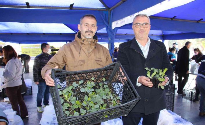 Aydın Büyükşehir Belediyesi 100 bin adet kışlık yerel fideyi vatandaşlara dağıttı