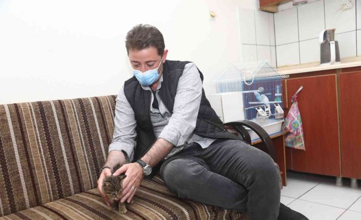 Bandırma Belediye Başkanı Tolga Tosun, " Bir Köpeğin yaptığı, tüm sokak dostlarımıza fatura edilemez"