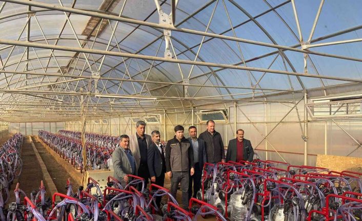 Bingöl’de çiftçilere yüzde 80 hibeli 162 adet süt sağım makinesi dağıtıldı