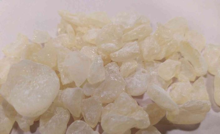 Bir zamanlar çam sakızı, çoban armağanıydı, şimdi kilosu 3 bin 500 lira