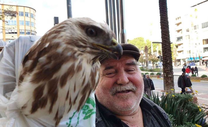 Bitkin haldeki şahini kurtaran vatandaş: "Hakkı Bulut’un kasetini dinleyince kendine geldi"