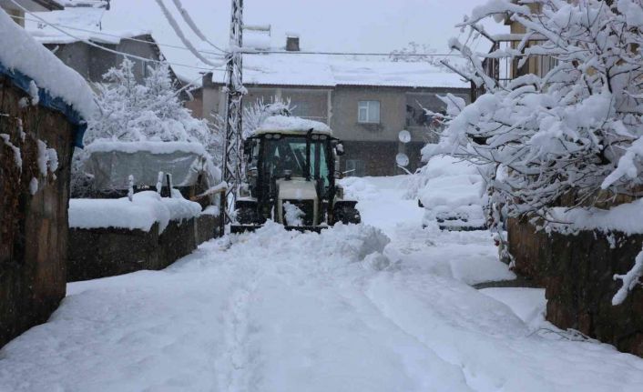 Bitlis’te 258 köy yolu ulaşıma kapandı