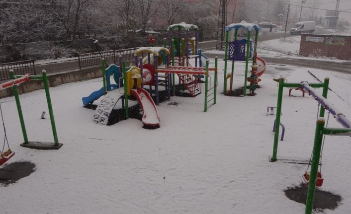 Bitlis’te kar yağışı etkili oldu