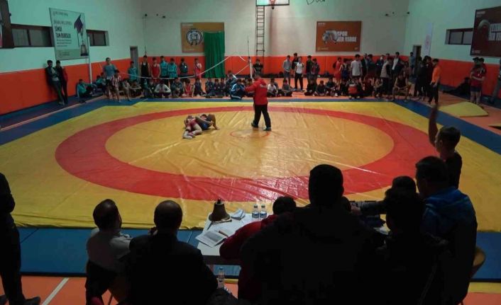 Bitlis’te ’Okullar Arası Güreş Müsabakaları’ başladı