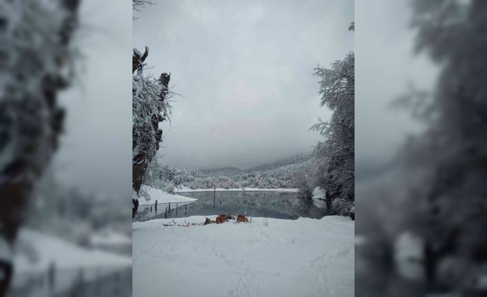Bolu’da, yürüyüş yapan iki kişinin üzerine ağaç parçası düştü: 1 ölü 1 yaralı
