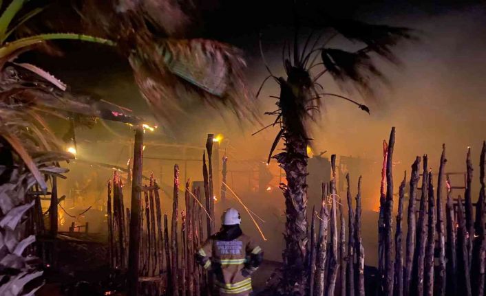 Çeşme’de yıldırım düşmesi sonucu çıkan yangında 400 bin lira zarar var