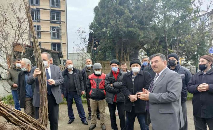 Çiftçilere aşılı Chandler fidanı dağıtıldı