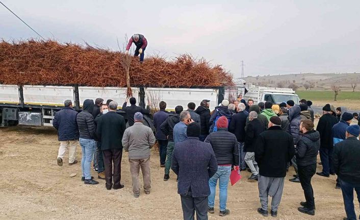 Dicle’de 111 çiftçiye 33 bin 880 adet badem, ceviz ve fıstık fidanı dağıtıldı