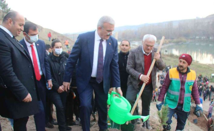 Diyarbakır Fetih 1382 Hatıra Ormanı’nda 10 bin 918 ağaç dikildi